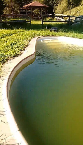 agua verde piscina