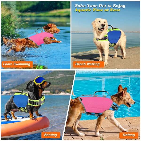 chaleco salvavidas seguridad piscina mascotas