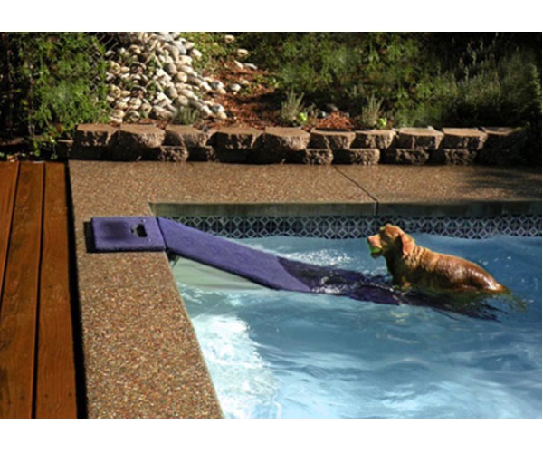 rampa de piscina para perros