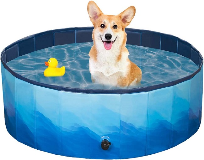 Жесткий пластиковый бассейн для собак