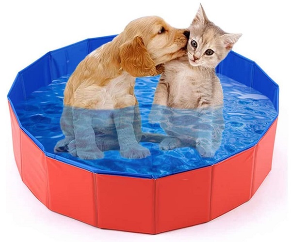 piscina para mascotas