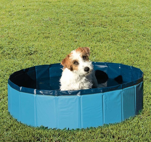 piscina para perros pequeños
