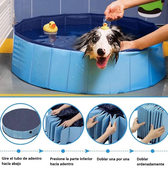 piscina para perros y personas