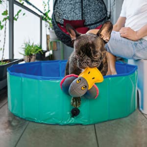 жесткий пластиковый бассейн для собак
