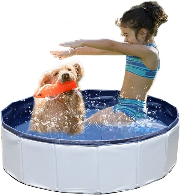 жесткий пластиковый бассейн для собак