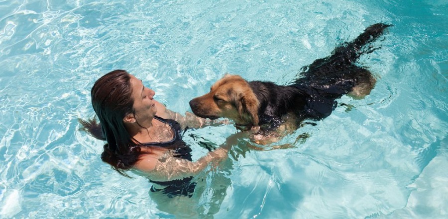 piscinas para perros y humanos