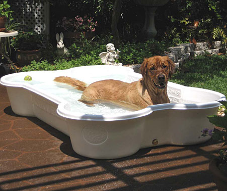 Сопротивление бассейну для собак