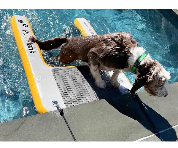 Rampa para perros piscina